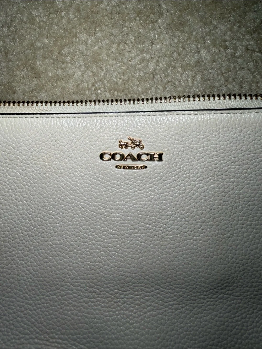 Coach Pebble Leather Lyla Crossbody Shoulder Purse Bag Clutch White F38173